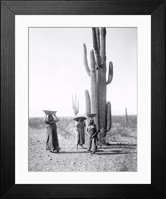 Framed Print : Edward S. Curits Native American Indians - Three Maricopa Indian women with baskets on their heads Framed Print : Edward S. Curits Native American Indians - Three Maricopa Indian women with baskets on their heads