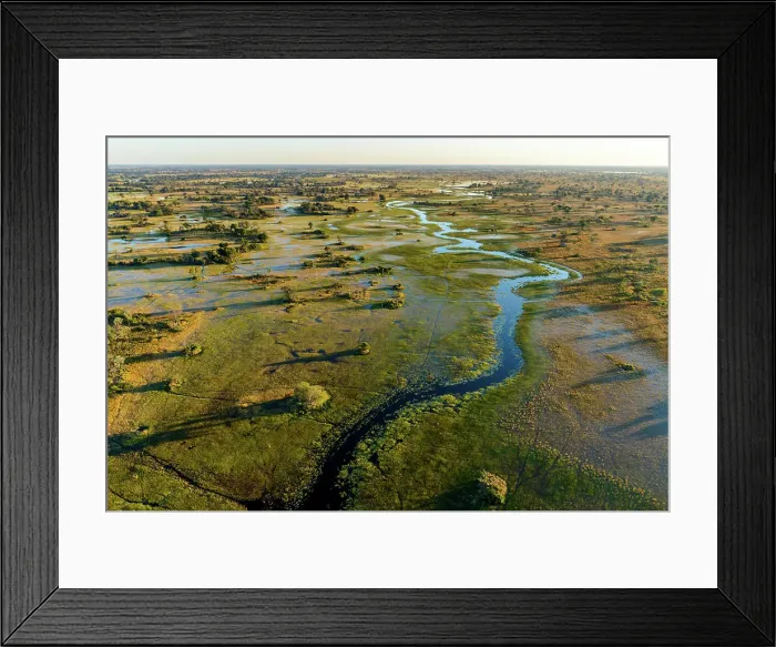 Framed Print : Aerial view of Okavango Delta. Botswana Framed Print : Aerial view of Okavango Delta. Botswana