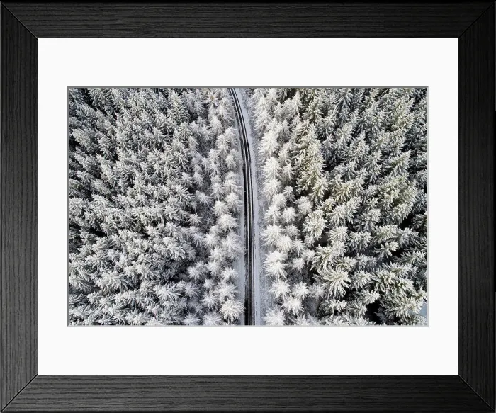 Framed Print : Scotland, snow on pine trees, empty road Framed Print : Scotland, snow on pine trees, empty road