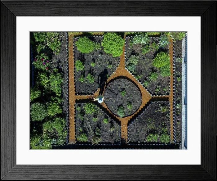 Framed Print : Woman gardening, aerial view