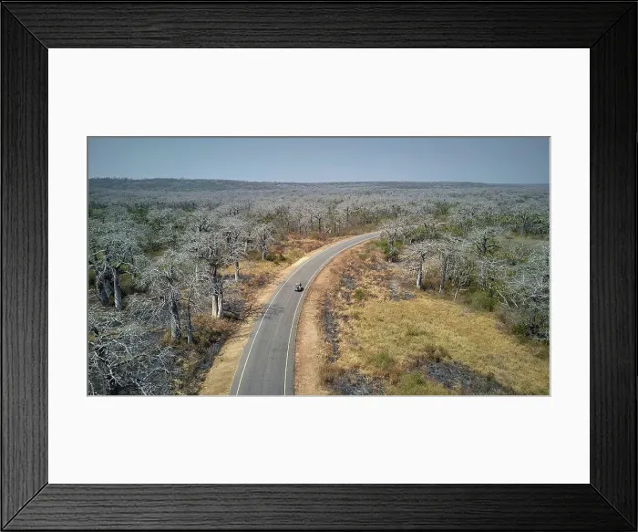 Framed Print : Aerial view of a jeep on a road surrounded by baobab trees, Cabo Ledo area, Angola