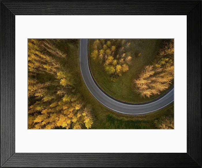 Framed Print : Asphalt roadway between autumn trees in forest