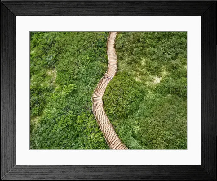 Framed Print : Aerial view couple walking on wooden boardwalk among green trees