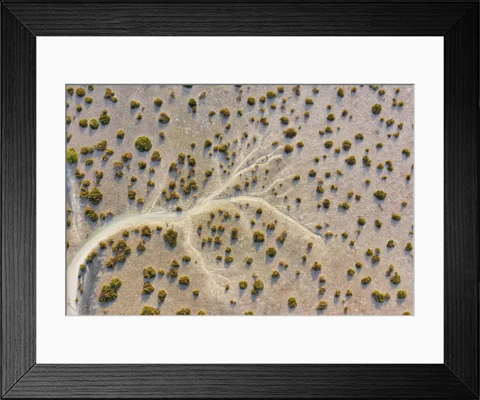 Framed Print : Aerial view of sand with vegetation Abu Dhabi, United Arab Emirates