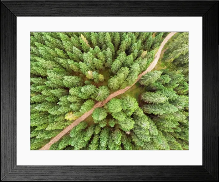 Framed Print : Aerial view above countryside road crossing pine forest in Slovenia Framed Print : Aerial view above countryside road crossing pine forest in Slovenia