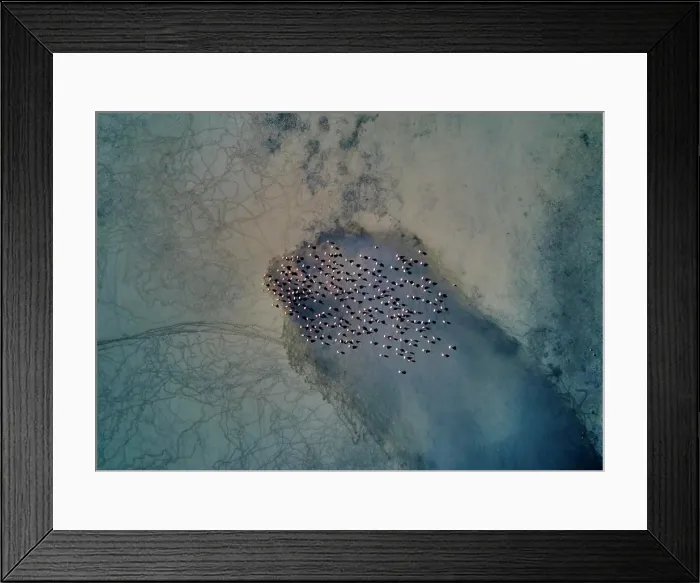 Framed Print : A serene aerial view of a flock of flamingos gathering by a waterbody amidst mystical landscapes