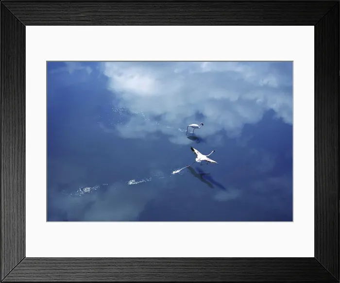 Framed Print : Aerial view of Flamingos, Lake Magadi, Kenya