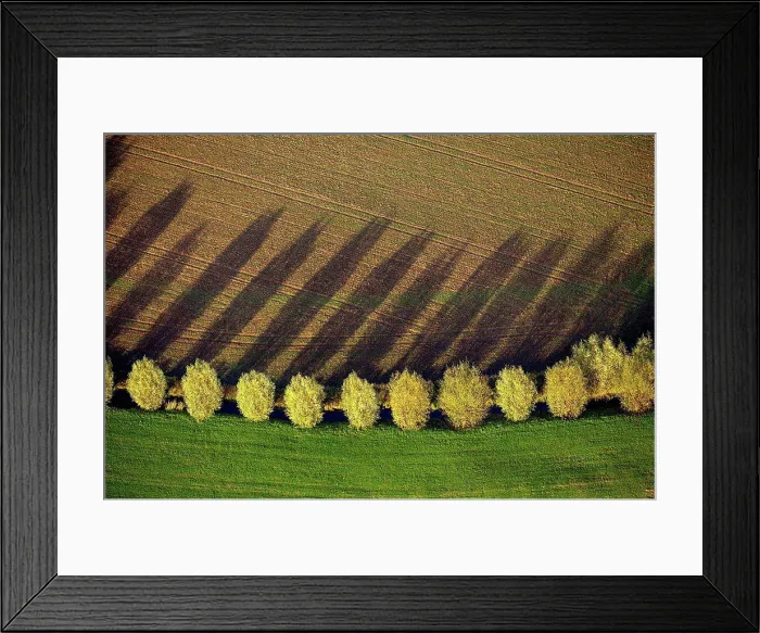 Framed Print : Tree row with shadow in autumn, aerial view of Duisburg, Ruhr area Framed Print : Tree row with shadow in autumn, aerial view of Duisburg, Ruhr area