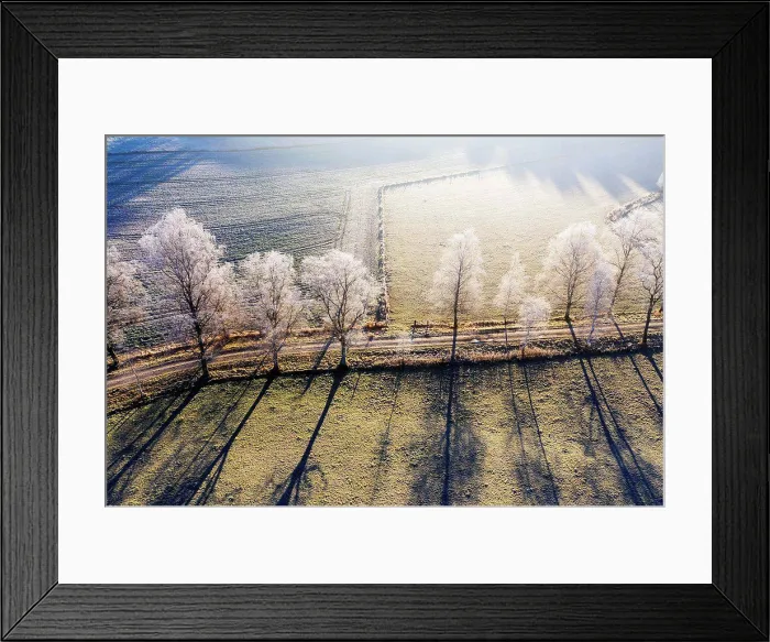 Framed Print : Germany, Bavaria, Schwaigwall, Aerial view of white birch trees along countryside dirt road in winter Framed Print : Germany, Bavaria, Schwaigwall, Aerial view of white birch trees along countryside dirt road in winter