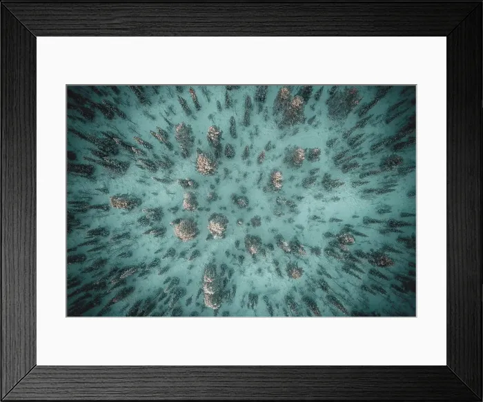 Framed Print : snow covered nordic pine forest from aerial point of view Framed Print : snow covered nordic pine forest from aerial point of view