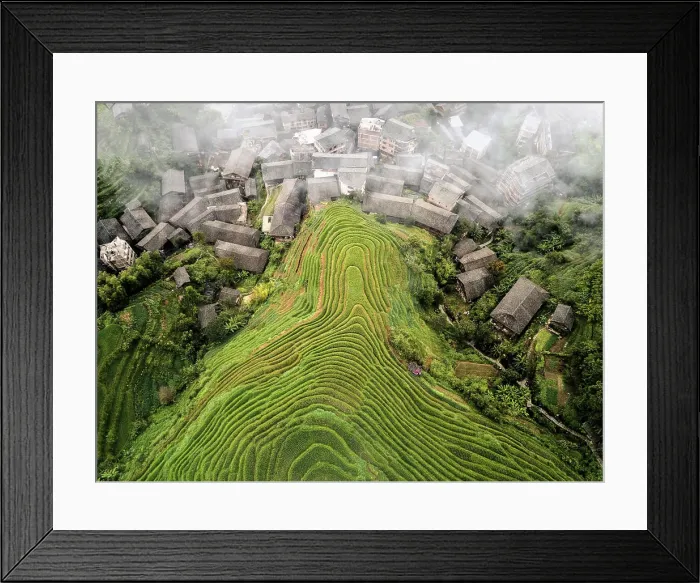 Framed Print : Aerial view on Longsheng rice terraces, also knows as dragon's backbone due to their shape, Guangxi, China, Asia Framed Print : Aerial view on Longsheng rice terraces, also knows as dragon's backbone due to their shape, Guangxi, China, Asia