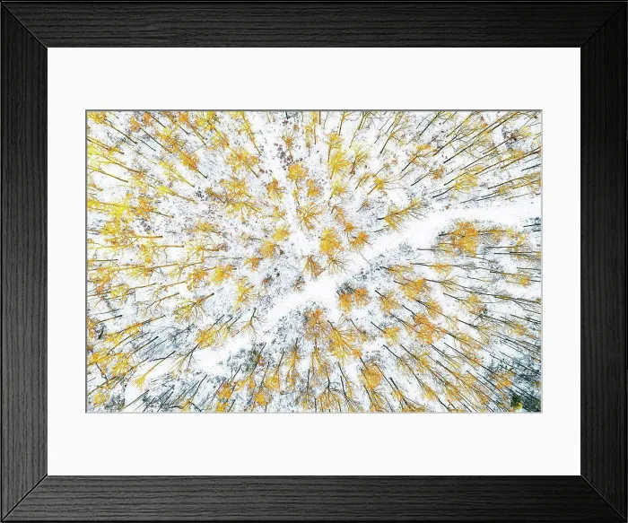 Framed Print : Germany, Baden Wurttemberg, Aerial view of Swabian Forest in winter Framed Print : Germany, Baden Wurttemberg, Aerial view of Swabian Forest in winter