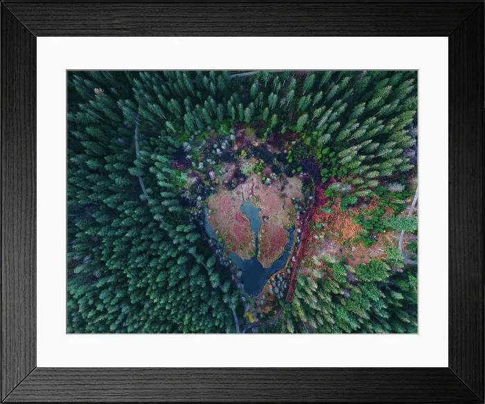 Framed Print : Ellbachsee, Black Forest, Baden-Wuerttemberg, Germany, Europe Framed Print : Ellbachsee, Black Forest, Baden-Wuerttemberg, Germany, Europe