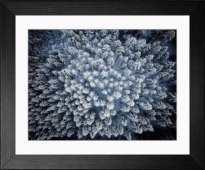 Framed Print : Baumwipfel, Winter, Schnee, Schwäbische Alb, Baden-Württemberg, Deutschland, Europa Framed Print : Baumwipfel, Winter, Schnee, Schwäbische Alb, Baden-Württemberg, Deutschland, Europa