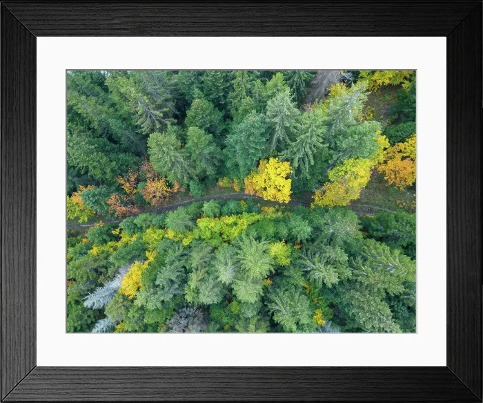 Framed Print : Aerial view of the Swiss Jura forests in autumn Framed Print : Aerial view of the Swiss Jura forests in autumn