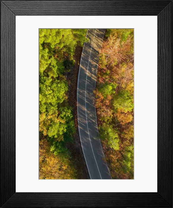 Framed Print : Aerial view of forest road with pine trees on both sides in autumn Framed Print : Aerial view of forest road with pine trees on both sides in autumn