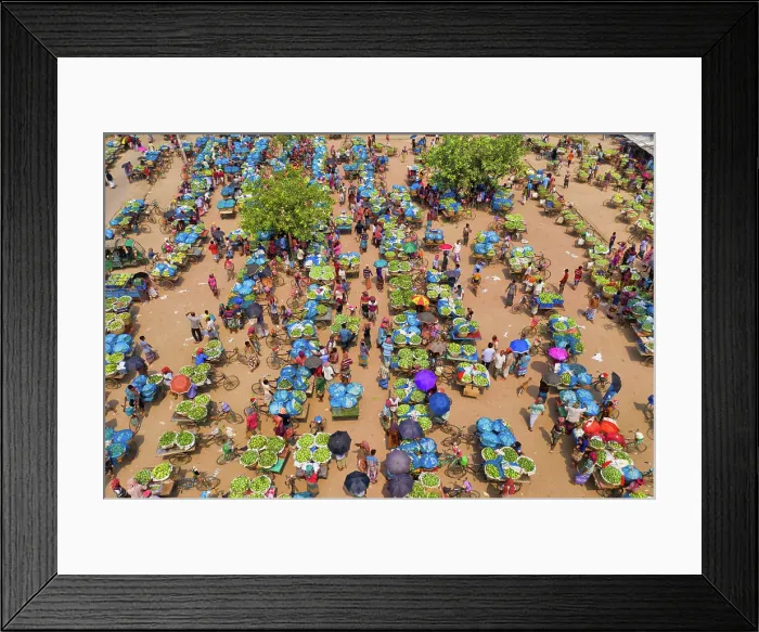 Framed Print : Shibganj, Bangladesh - 14 June 2019: Aerial view of a few people working at Kansat mango Bazar Framed Print : Shibganj, Bangladesh - 14 June 2019: Aerial view of a few people working at Kansat mango Bazar