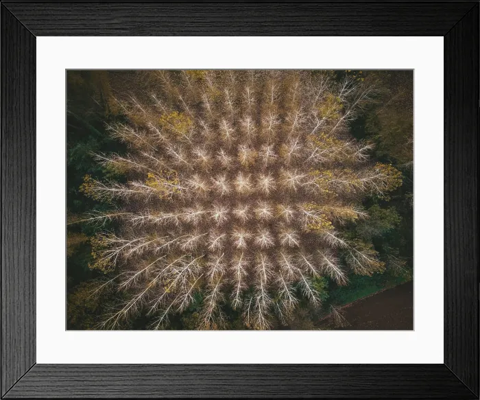 Framed Print : Aerial view of a forest in autumn in La Pera, Girona, Spain Framed Print : Aerial view of a forest in autumn in La Pera, Girona, Spain