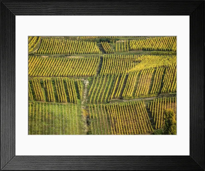 Framed Print : Aerial view of vineyards on route des vins d'Alsace, France