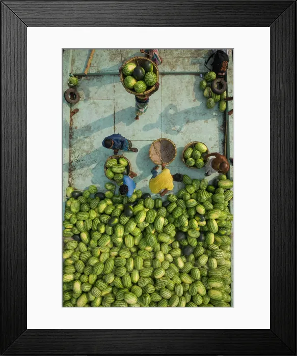 Framed Print : Aerial view of farmer working together onboard of a wooden boat unloading watermelons along Buriganga river in Dhaka