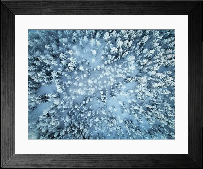 Framed Print : Aerial top down view of snowcapped trees in winter in Norrbotten, Sweden Framed Print : Aerial top down view of snowcapped trees in winter in Norrbotten, Sweden