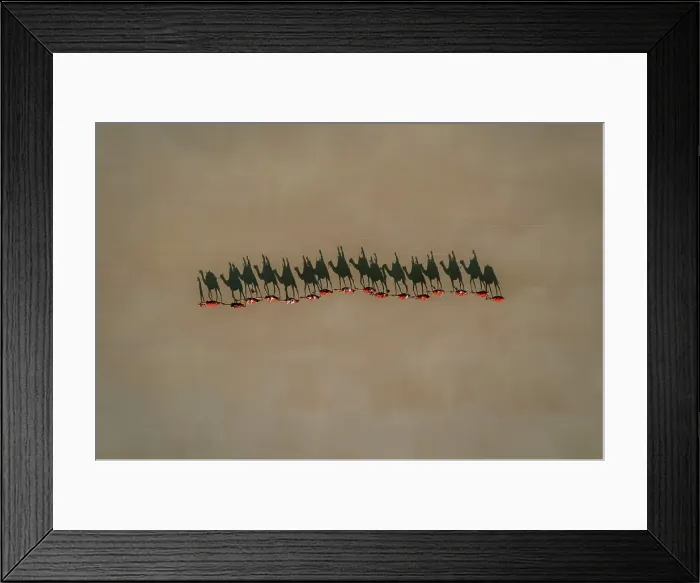 Framed Print : Aerial view of camels walking on a beach with people riding on their back that are casting shadows in the sand Framed Print : Aerial view of camels walking on a beach with people riding on their back that are casting shadows in the sand