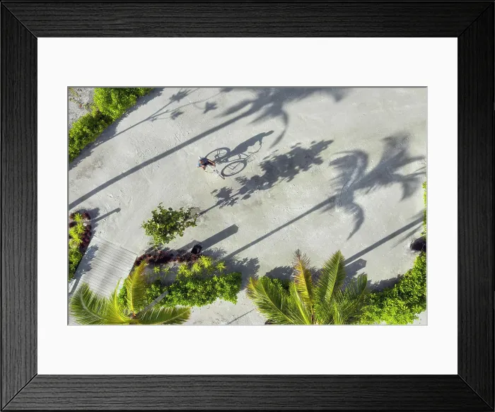 Framed Print : Aerial view of man with bicycle under palm trees Framed Print : Aerial view of man with bicycle under palm trees