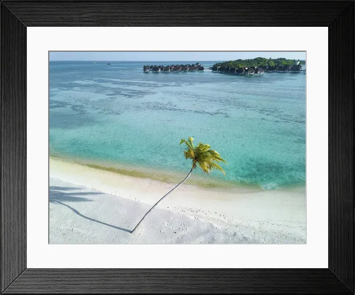 Framed Print : Single palm tree on tropical island with bundalows in background, aerial view Framed Print : Single palm tree on tropical island with bundalows in background, aerial view