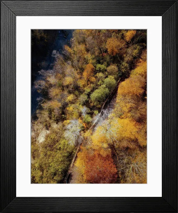 Framed Print : Aerial view of road stretching through autumn forest Framed Print : Aerial view of road stretching through autumn forest