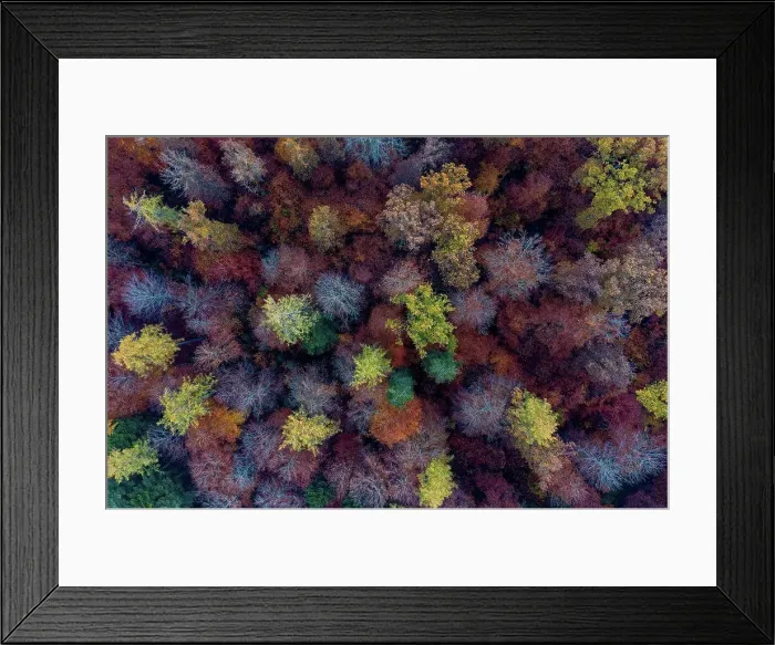 Framed Print : Aerial view of autumn forest in Schurwald Framed Print : Aerial view of autumn forest in Schurwald