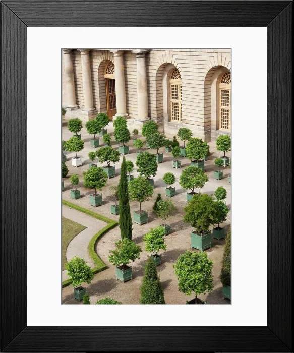 Framed Print : Versailles, France. Antiques in the Palace of Versailles