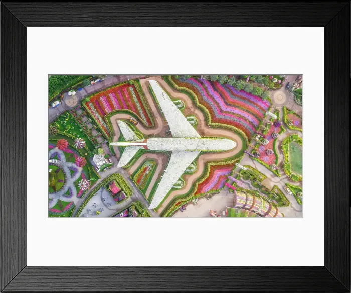 Framed Print : Aerial view of The unusual colorful Dubai Miracle Garden, United Arab Emirates