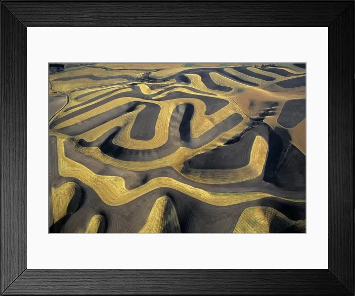 Framed Print : Contour Farming Aerial View Of A Palouse Wheat Farm Eastern Washington Framed Print : Contour Farming Aerial View Of A Palouse Wheat Farm Eastern Washington