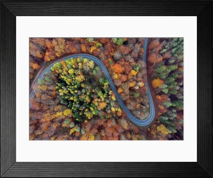 Framed Print : Germany, Bavaria, Drone view of winding country road cutting through autumn forest in¶ÿSteigerwald