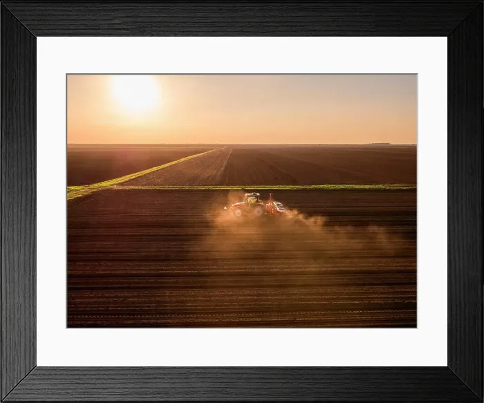 Framed Print : Serbia, VojvodinaProvince, Aerial view of tractor sowing seeds at sunset Framed Print : Serbia, VojvodinaProvince, Aerial view of tractor sowing seeds at sunset