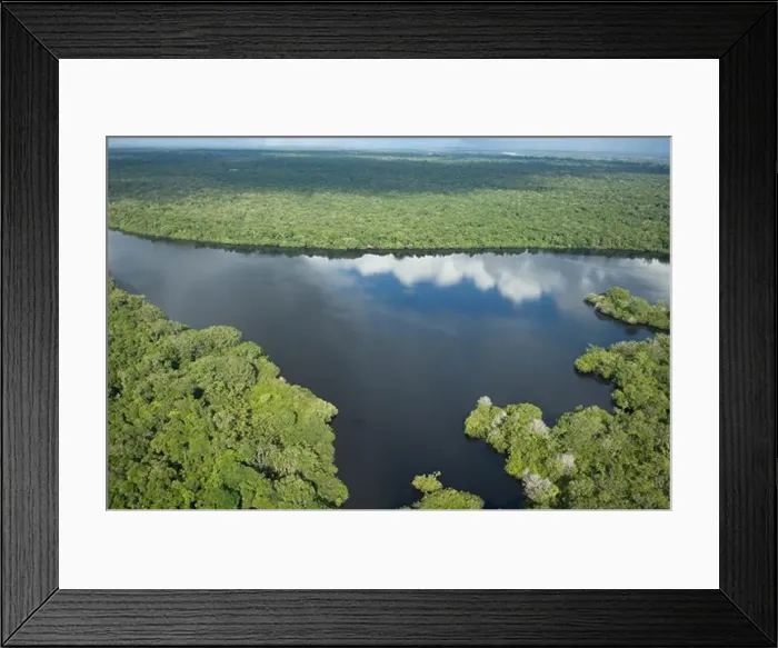 Framed Print : Aerial view of a lake, Oxbow Lake, Napo River, Loreto Region, Peru
