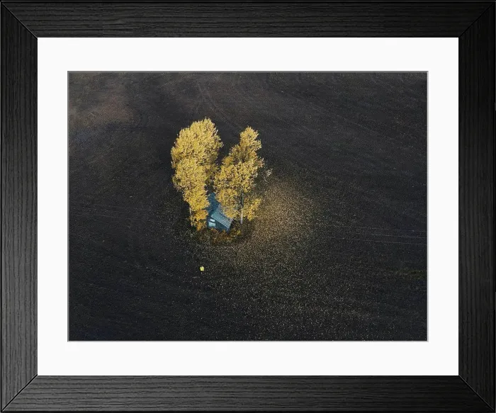 Framed Print : Finland, Kuopio, woman in yellow rain jacket walking towards autumnal trees, aerial view Framed Print : Finland, Kuopio, woman in yellow rain jacket walking towards autumnal trees, aerial view