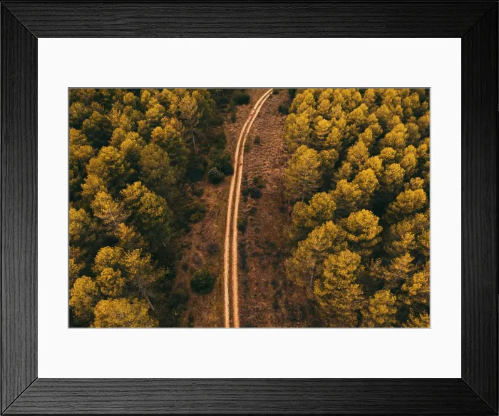 Framed Print : Drone aerial top view of scenic landscape of rural road motorway through forest in countryside Framed Print : Drone aerial top view of scenic landscape of rural road motorway through forest in countryside