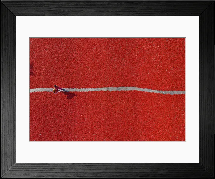 Framed Print : Sariakandi, Bangladesh - 29 February 2020: Aerial view of people working in a field collecting red chilli pepper Framed Print : Sariakandi, Bangladesh - 29 February 2020: Aerial view of people working in a field collecting red chilli pepper