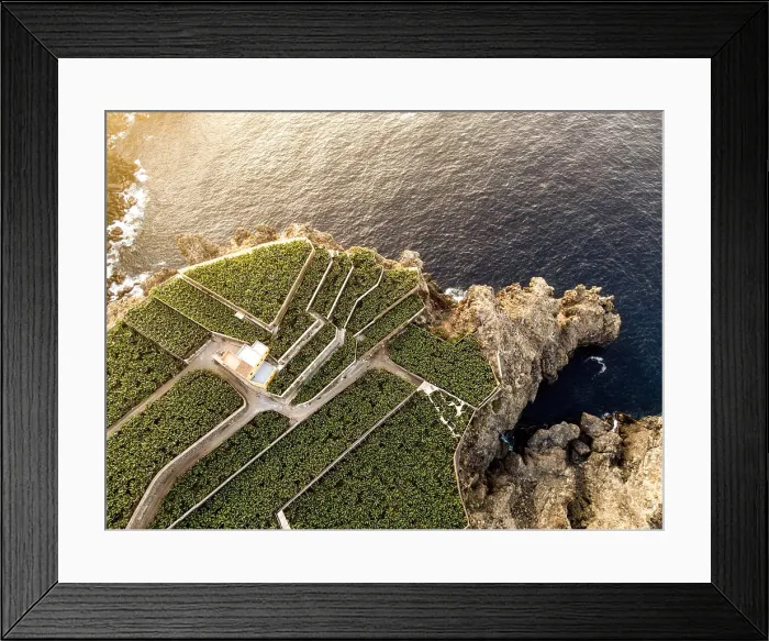 Framed Print : aerial view of farm of banana trees near to the ocean atlantic Framed Print : aerial view of farm of banana trees near to the ocean atlantic