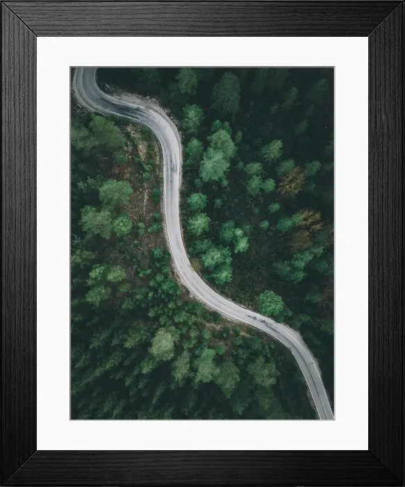 Framed Print : Aerial view of forest road with pine trees on both sides in autumn Framed Print : Aerial view of forest road with pine trees on both sides in autumn