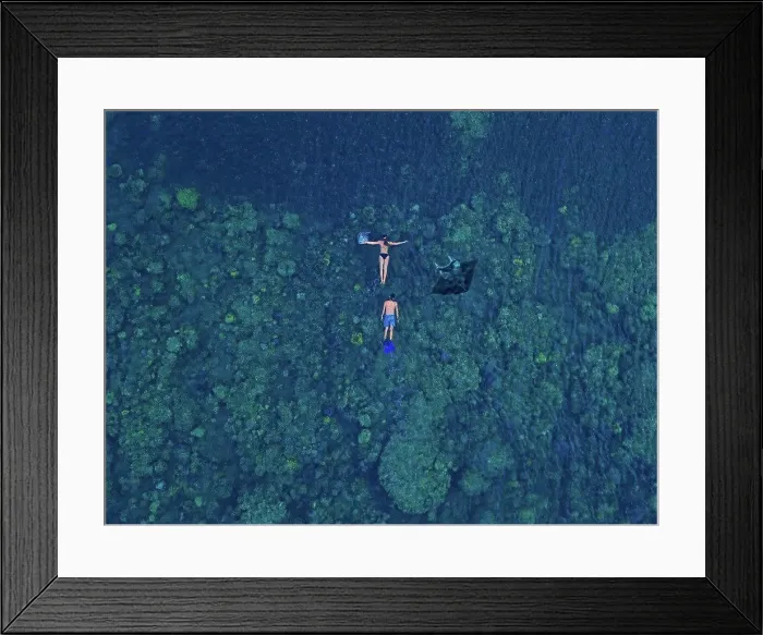 Framed Print : Aerial view of two people swimming near manta ray in blue waters of Pacific Ocean Framed Print : Aerial view of two people swimming near manta ray in blue waters of Pacific Ocean