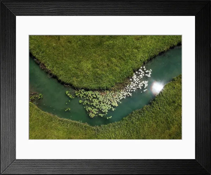 Framed Print : Drone view of water lilies growing in¶ÿZeller¶ÿAche river Framed Print : Drone view of water lilies growing in¶ÿZeller¶ÿAche river