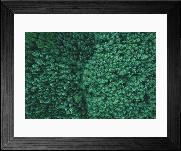 Framed Print : Aerial image of forest in Japan Framed Print : Aerial image of forest in Japan
