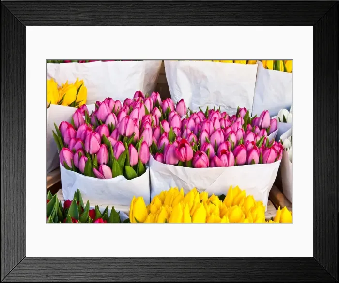 Framed Print : Detail of Amsterdam flowers market: the best tulips of the world Framed Print : Detail of Amsterdam flowers market: the best tulips of the world