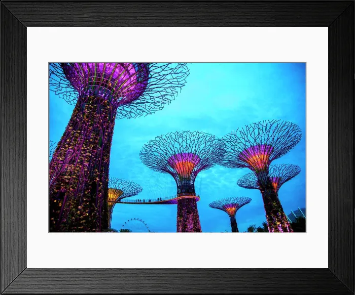Framed Print : Electric supertrees lit up at night, Singapore, Republic of Singapore Framed Print : Electric supertrees lit up at night, Singapore, Republic of Singapore