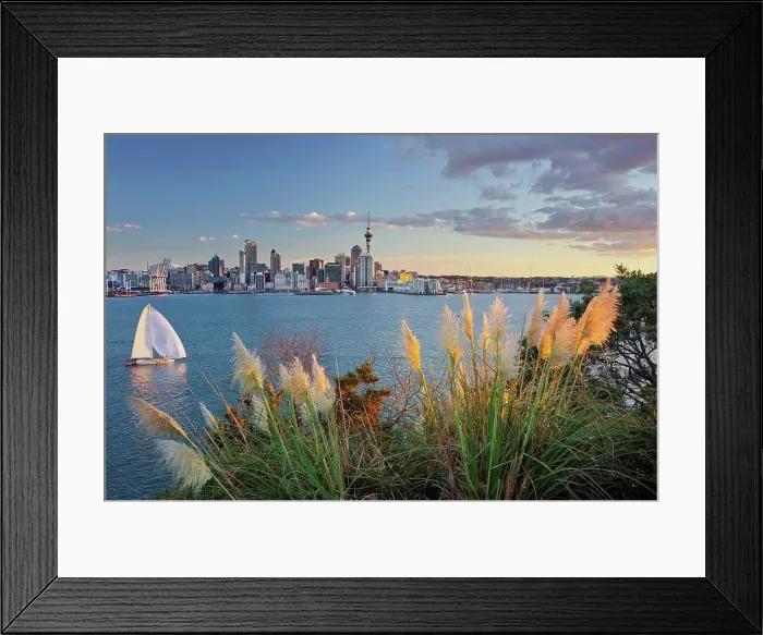 Framed Print : Stanley Bay, sailboats, skyline of Auckland, north Island, New Zealand Framed Print : Stanley Bay, sailboats, skyline of Auckland, north Island, New Zealand