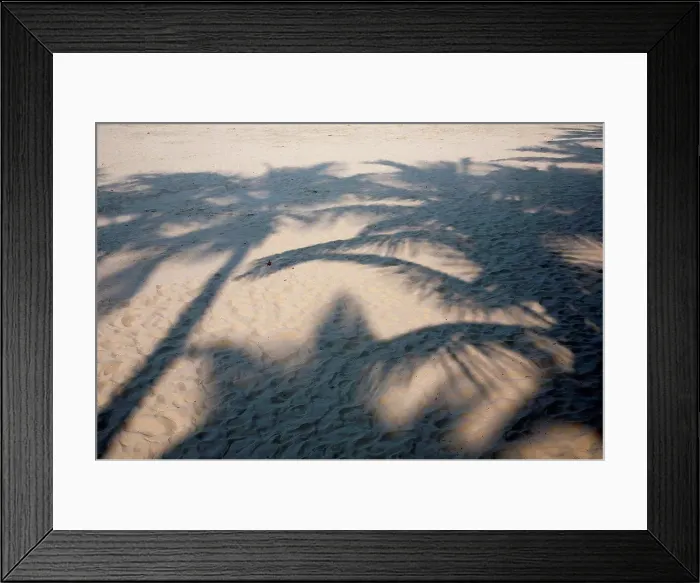 Framed Print : Brazil, Shadow of palm trees at beach