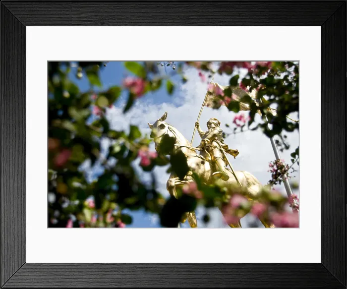 Framed Print : Louisiana, New Orleans, French Quarter, This Golden Staute Of Joan Of Arc Was A Gift From France Framed Print : Louisiana, New Orleans, French Quarter, This Golden Staute Of Joan Of Arc Was A Gift From France