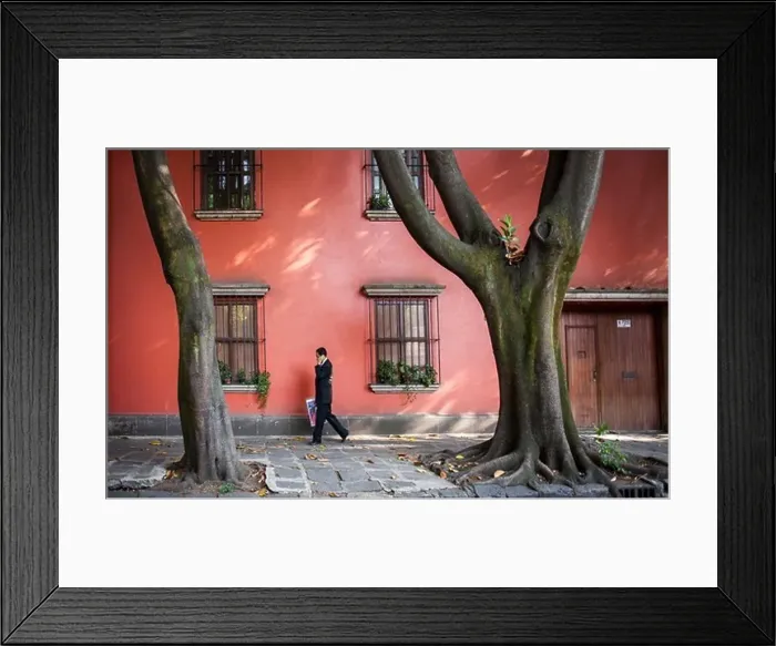 Framed Print : Avenida Francisco Sosa, Coyoacan, Mexico City, Mexico Framed Print : Avenida Francisco Sosa, Coyoacan, Mexico City, Mexico